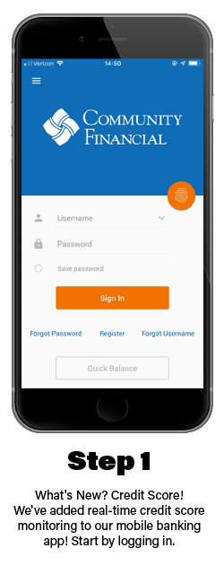 Community Financial App Login Page